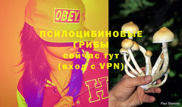 ALPHA PVP Алексеевка