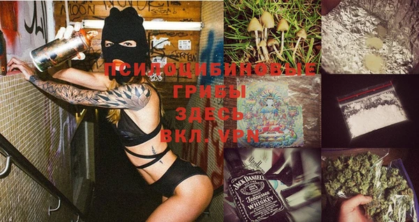 дурь Абинск