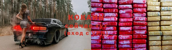 МДПВ Абаза