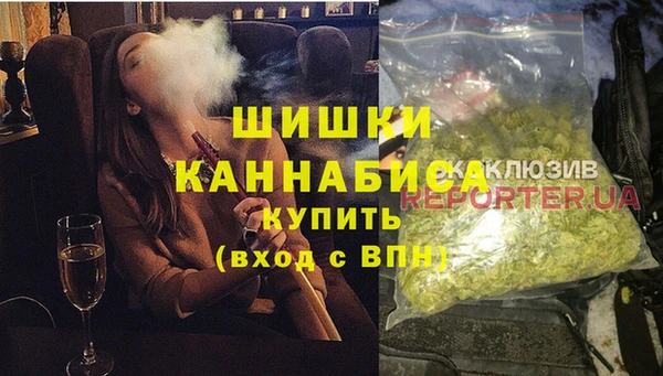 индика Алзамай