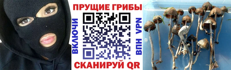 Галлюциногенные грибы MAGIC MUSHROOMS  Куровское 